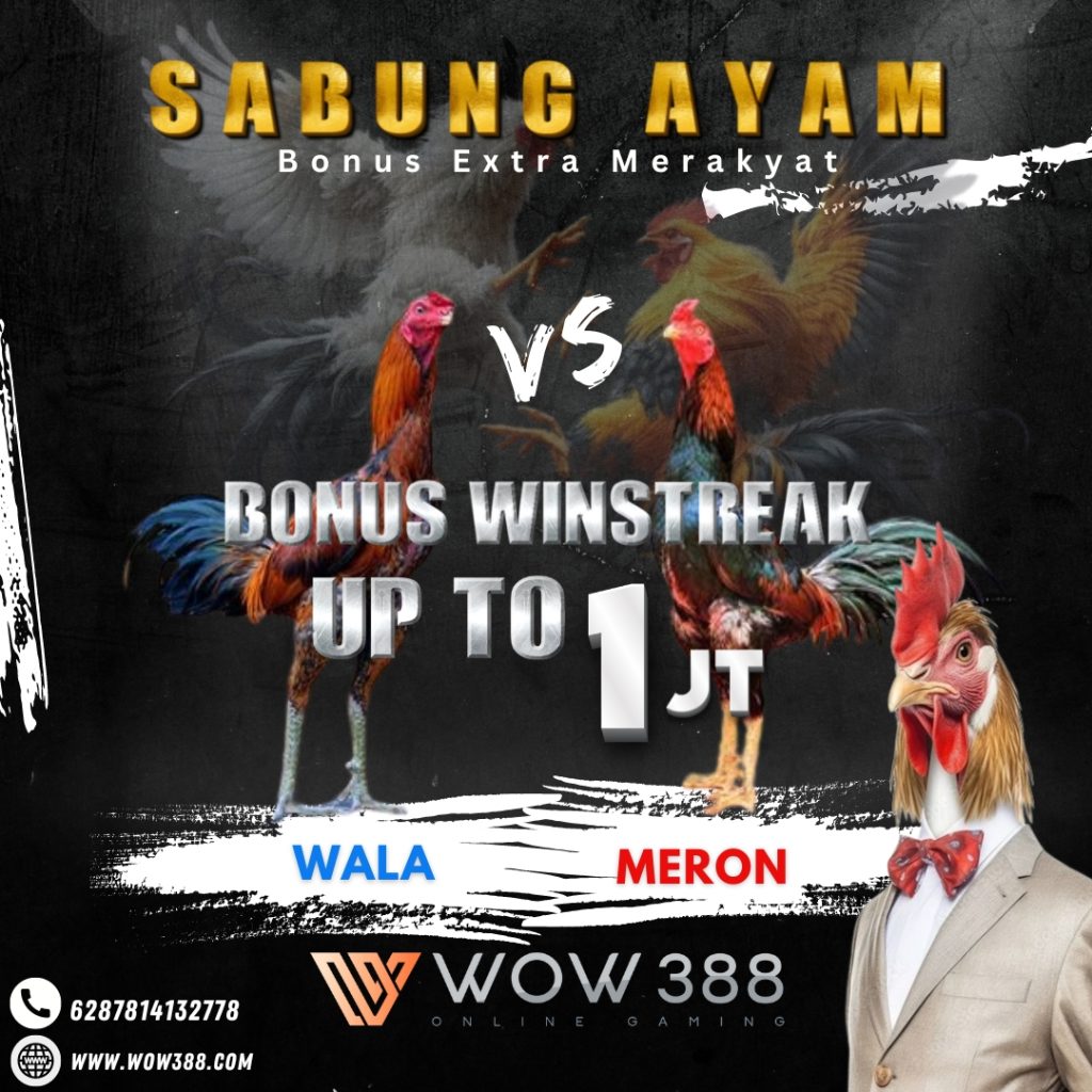 Pilihan AyamSabung Online WOW388